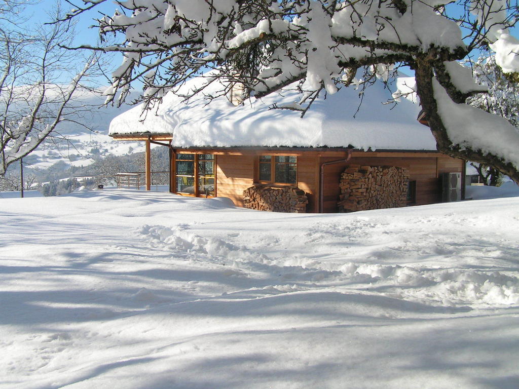 Les Perrelles Bellecombe-en-Beauges Exterior foto